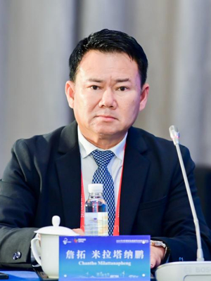 CESC2025 储能大会高峰论坛特邀专家-詹拓·米拉塔纳鹏.jpg